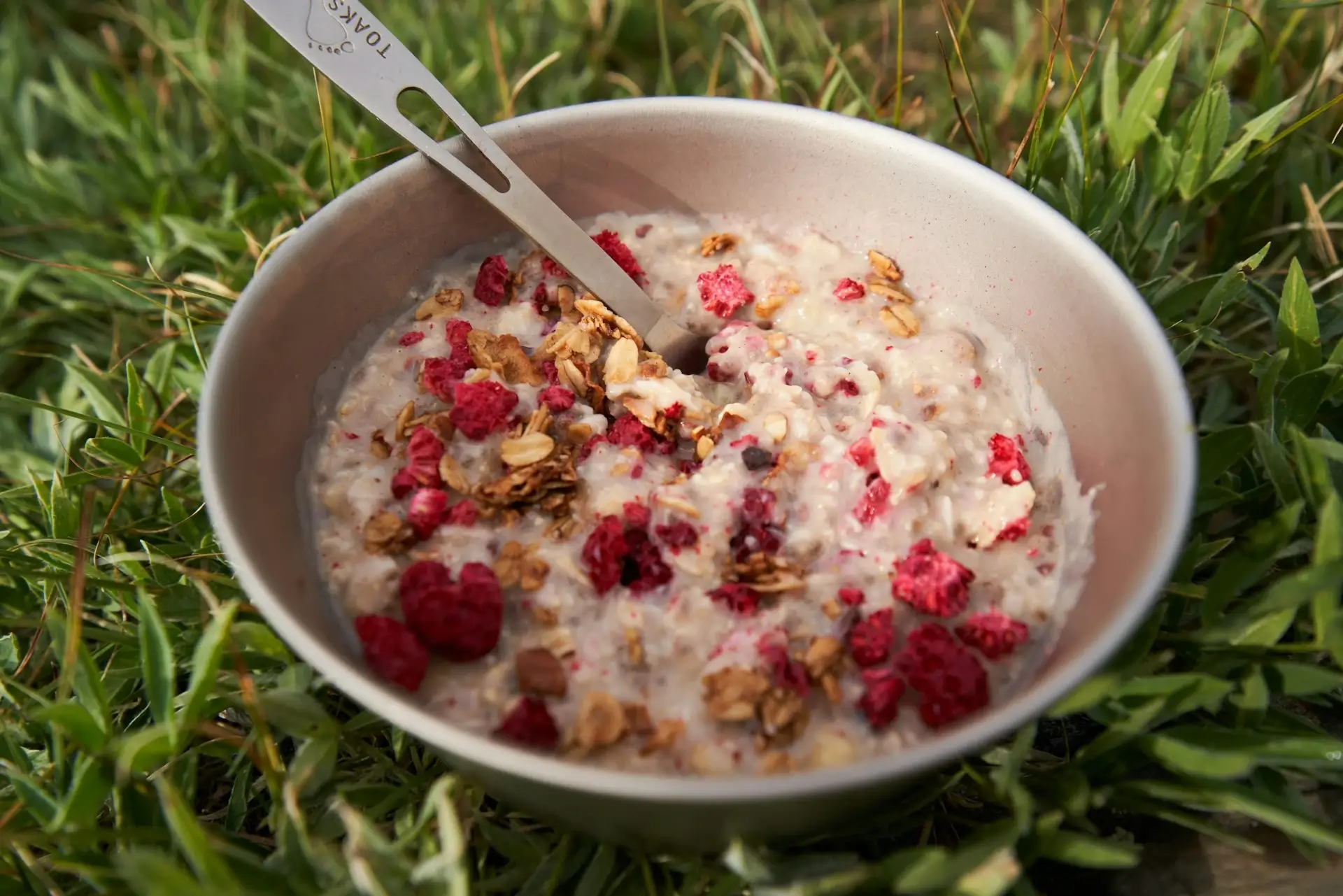 A bowl of oatmeal with dehydrated fruit in it!