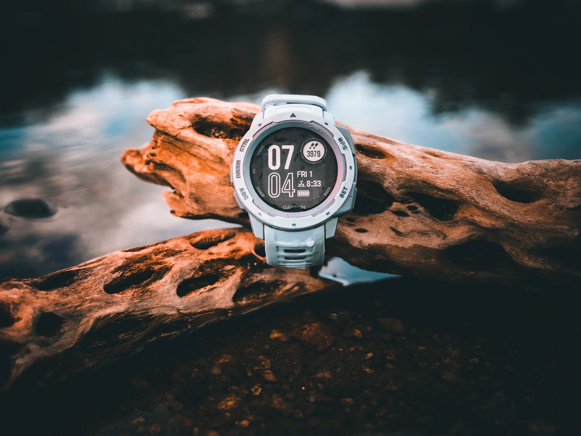 a Garmin watch wrpped around a piece of driftwood in the forest