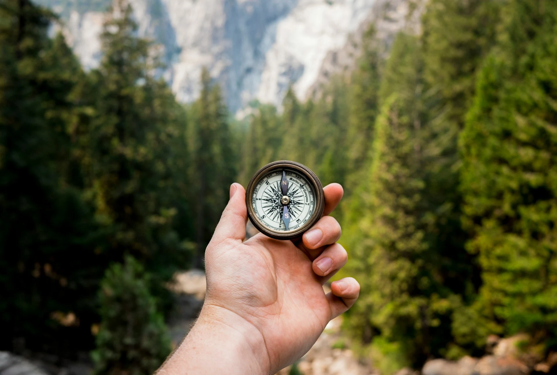 A hand holding up a compass over a forested mountain background